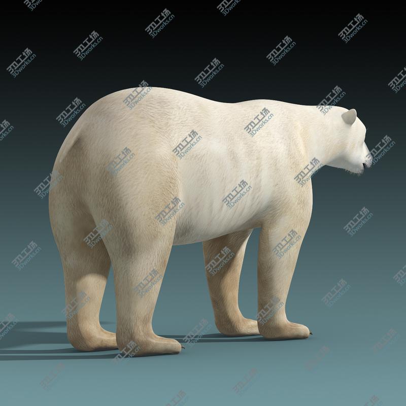 images/goods_img/2021040163/Polar Bear/4.jpg